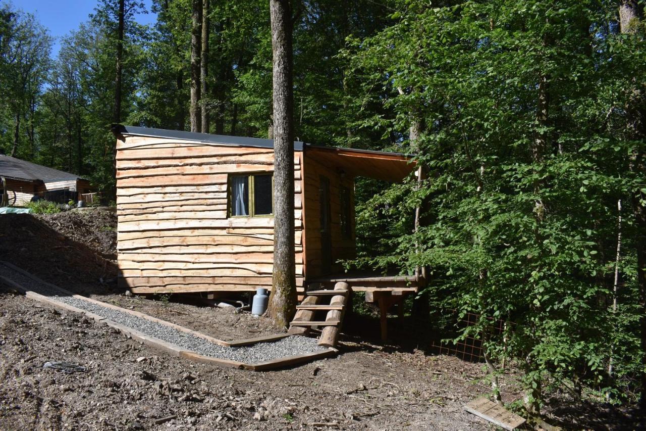 La Cabane Aux Ecureuils Philippeville Exterior foto